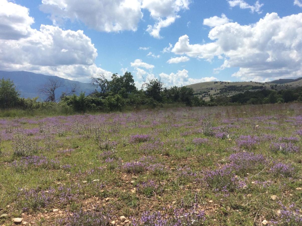 Holiday home Da Sciuri