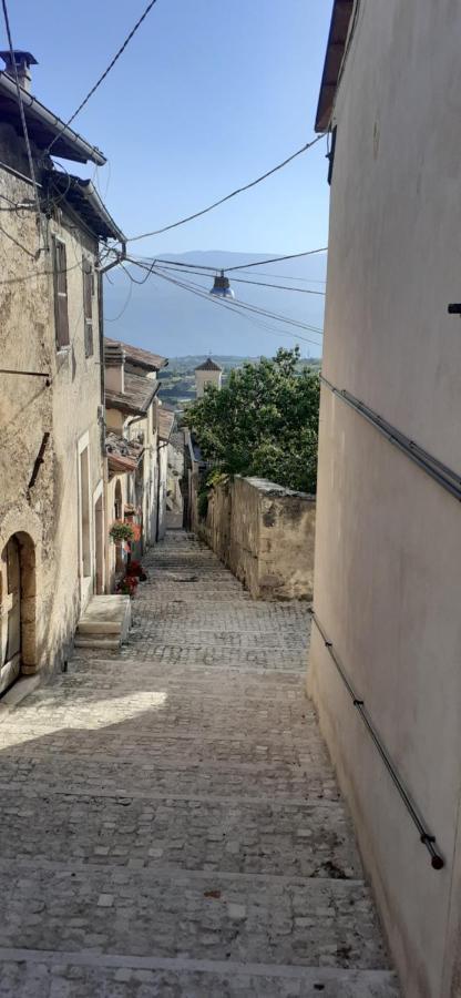 Da Sciuri